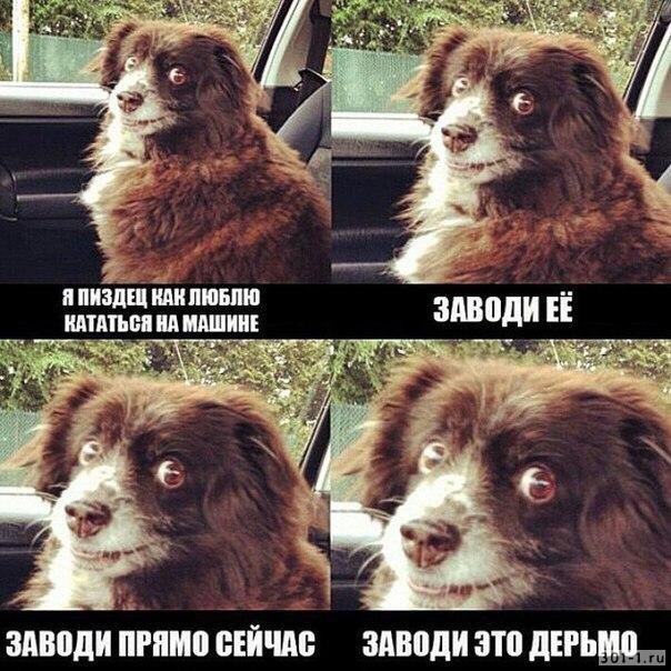 : 15564919501450.jpg
: 1230

: 84.8 