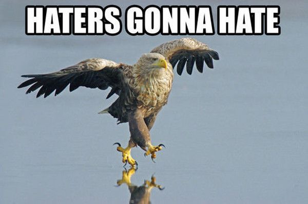 : funny-pictures-haters-gonna-hate-eagle-walking-water.jpg
: 1196

: 29.3 