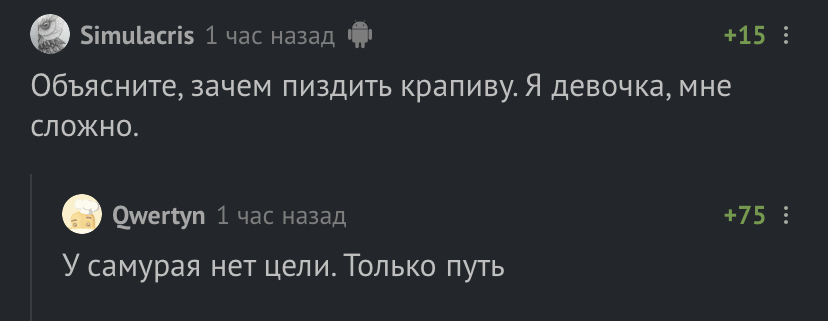 : 1593465018196523782.jpg
: 4212

: 72.8 
