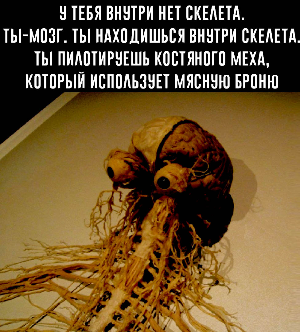 : Gnv2aM1oTNQ.jpg
: 4159

: 221.0 