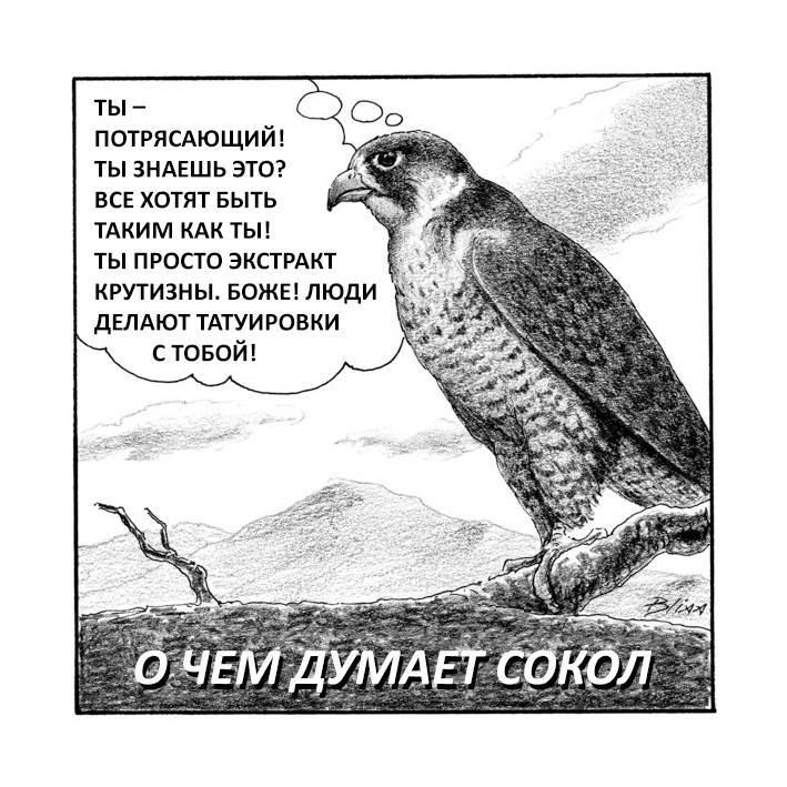 : 162066280517174562.jpg
: 8180

: 90.1 