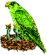 : 68x80_Jade Falcon Eyrie Cluster.png
: 1807

: 8.7 