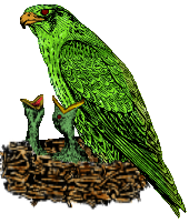 : 170x201_Jade Falcon Eyrie Cluster.png
: 851

: 50.5 