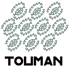 : Touman.png
: 2186

: 28.7 