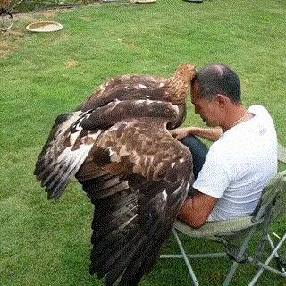 : 8.gif
: 3445

: 6.59 
