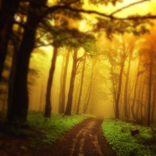 : _on_the_sunny_road__by_janek_sedlar-d55g623.jpg
: 215

: 83.9 